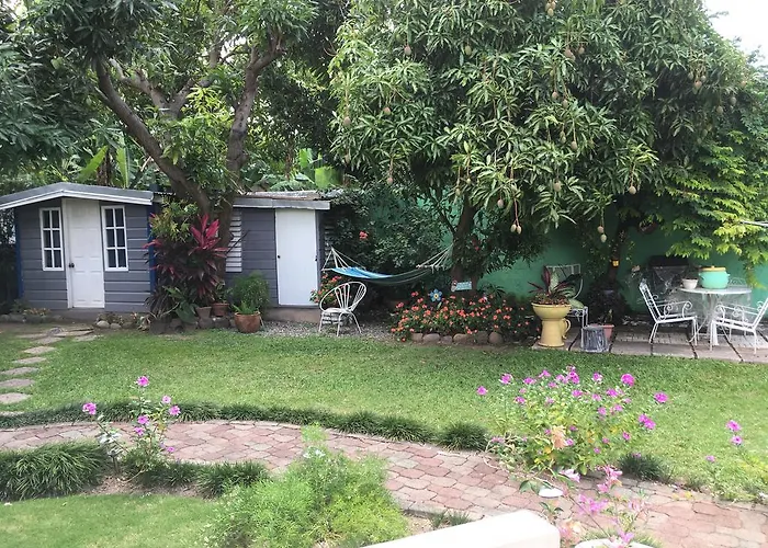 Pet Friendly hotel: Kingston Studio Apartment